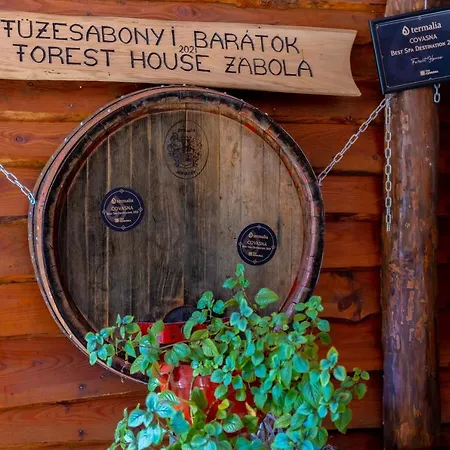 Forest House Zabala Exterior photo