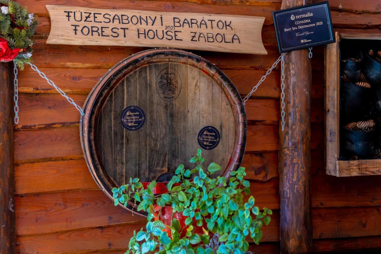 Forest House Holiday home Zabala